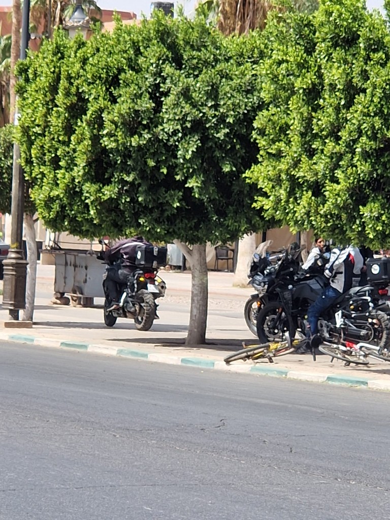 Motos sous les arbres — halte ombragée en route