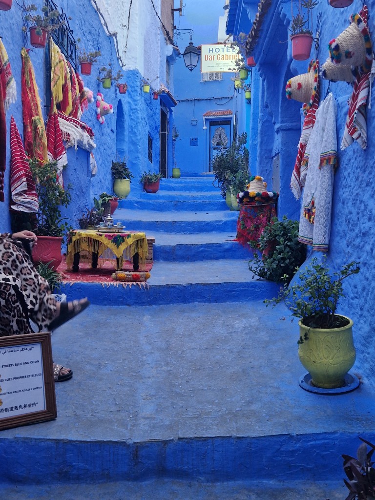 Chefchaouen — escaliers bleus fleuris