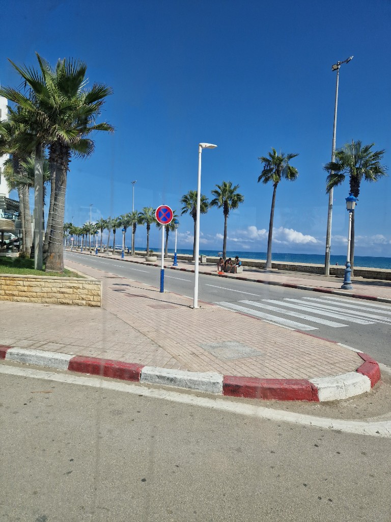Promenade côtière — palmiers et océan Atlantique